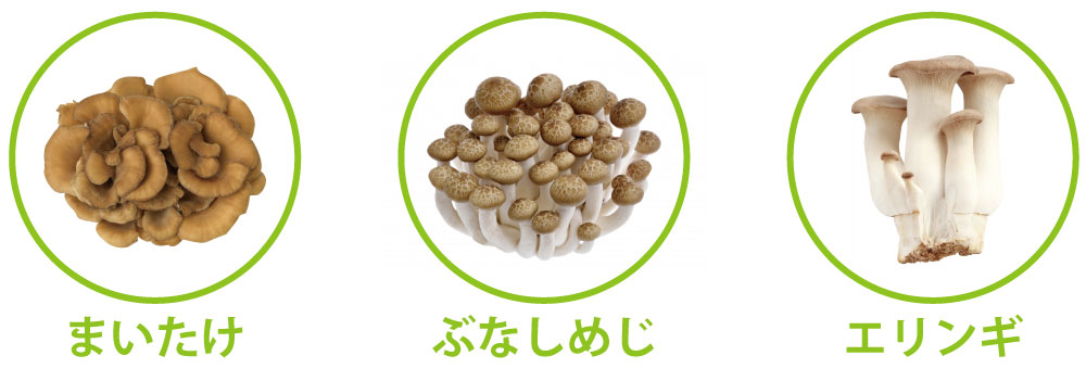 きのこ